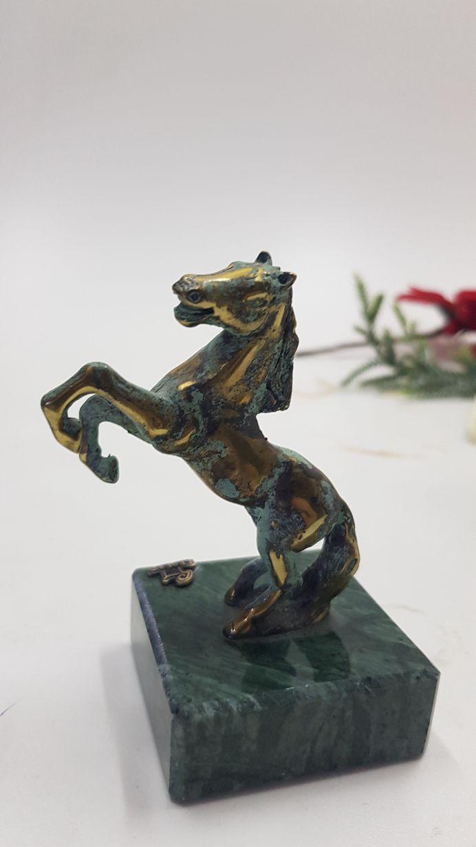 ცხენი, ხედი 2